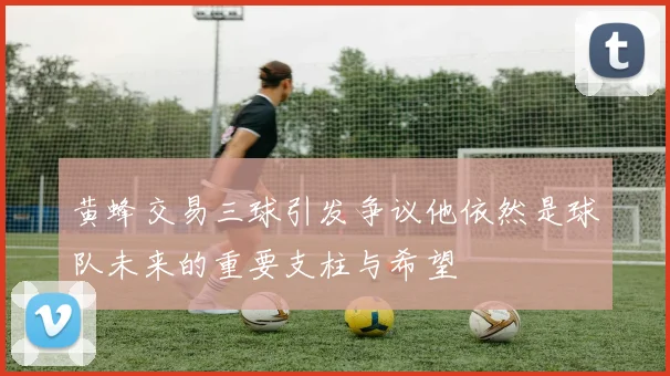 黄蜂交易三球引发争议他依然是球队未来的重要支柱与希望