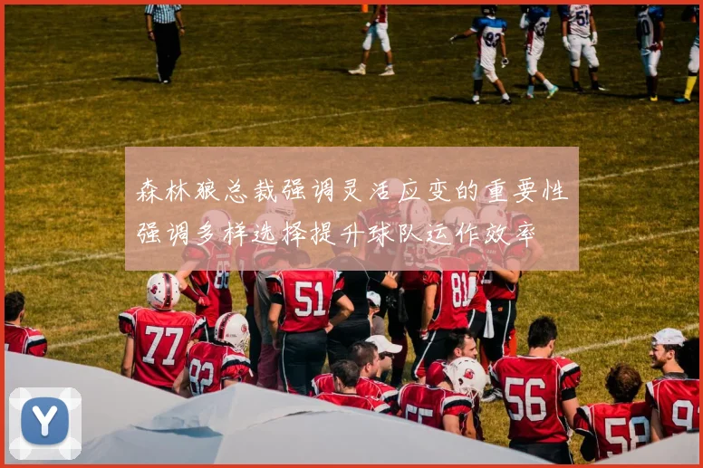 森林狼总裁强调灵活应变的重要性强调多样选择提升球队运作效率